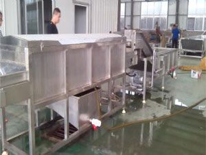 大姜喷淋式清洗机 